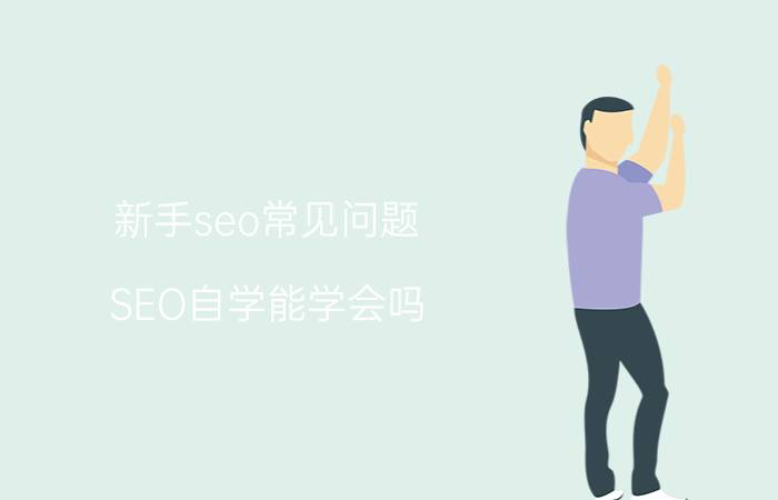 新手seo常见问题 SEO自学能学会吗？